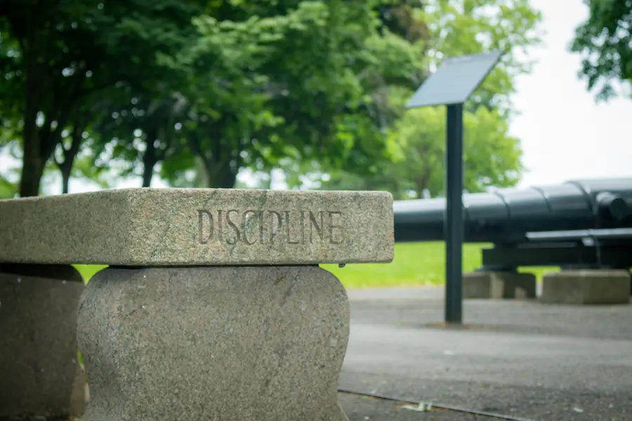Financial-discipline 30 day money challenge-discipline